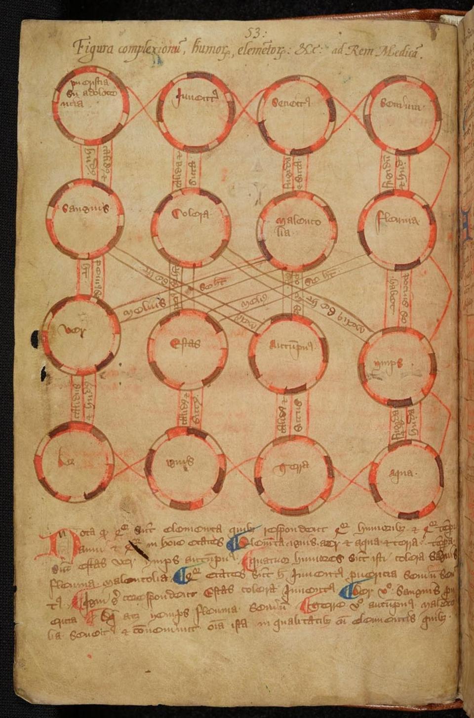 Diagnostic diagram linking a patient’s age, temperament, the seasons and the elements,14th century(The Master and Fellows of Trinity College, Cambridge/ PA)