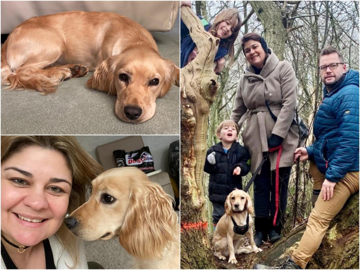 Cintia Gardner, her partner Andy and their two children with their dog Honey (Cintia Gardner )