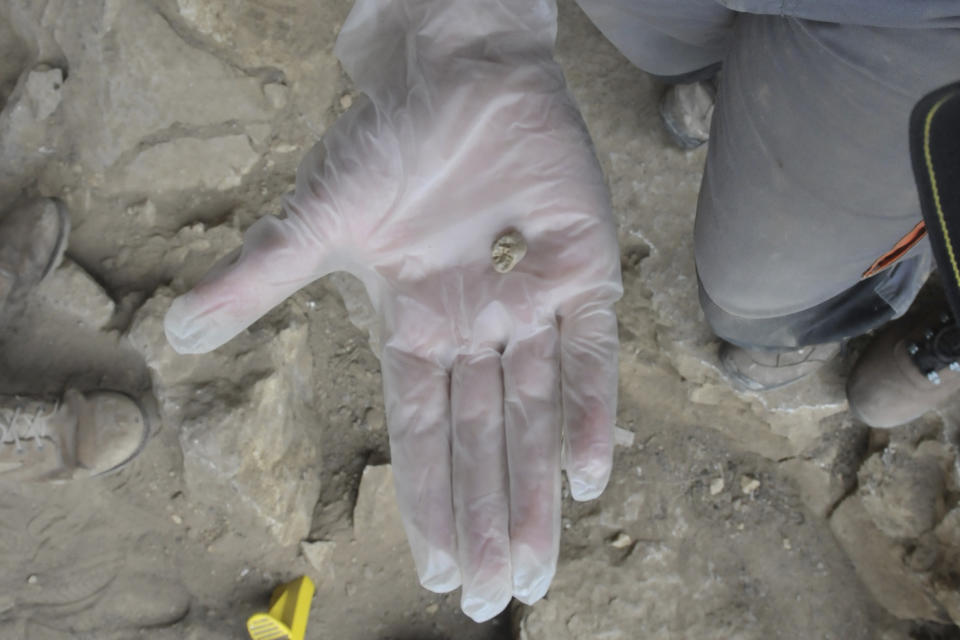 This photo provided by Klara Komza in October 2022 shows part of a Neanderthal tooth found in a cave in the mountains of Siberia, Russia. In a study published Wednesday, Oct. 19, 2022, in the journal Nature, researchers were able to pull DNA out of tiny bone fragments found in two Russian caves, and used the genetic data to map out relationships between 13 different Neanderthals for clues to how they lived. (Klara Komza via AP)