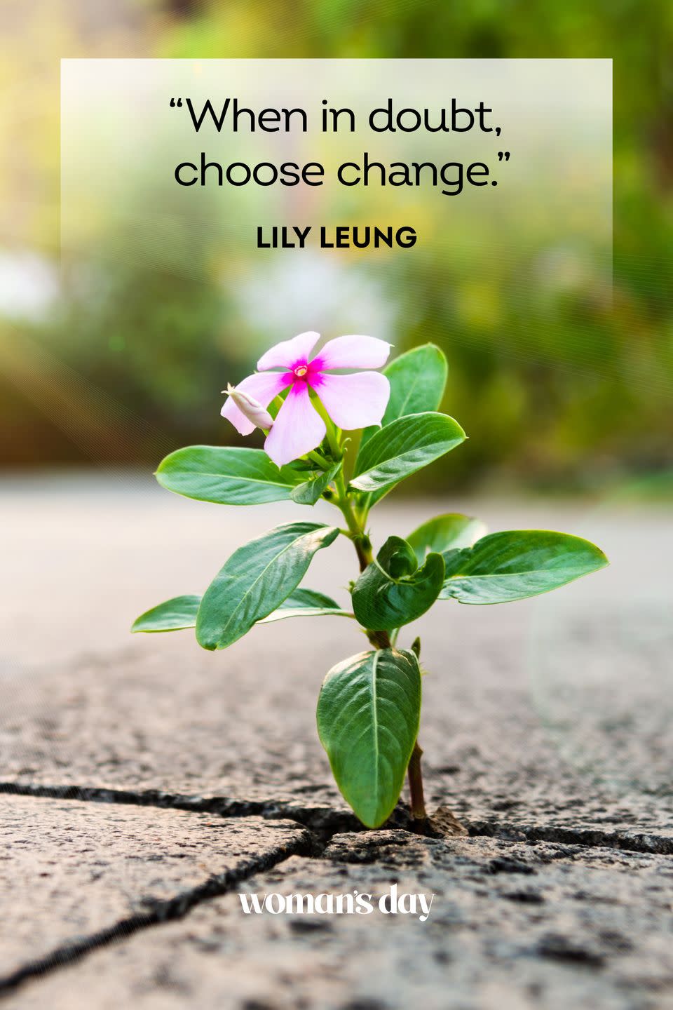 <p>“When in doubt, choose change.”</p>