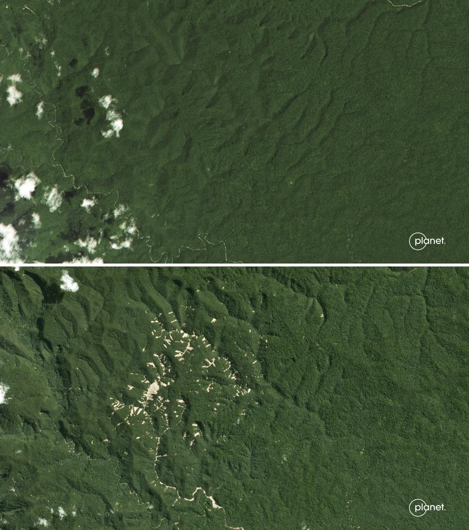 This image provided by Planet Labs PBC shows an area in the Cordillera Azul National Park in Peru's Amazon in 2010, top, and the same area in 2019. Inspection of satellite data in the park shows many landslides, which can be caused by deforestation. Analysis by independent experts and reporting by The Associated Press raise doubts about whether a program to sell carbon credits is delivering on its promise to stop deforestation in the park and balance out carbon emissions by the companies buying the credits. (Planet Labs PBC via AP)