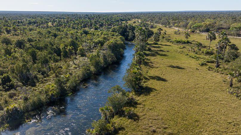 A river between the Cachoeira community and Caçimbinha in Bahia, Brazil, June 2023.