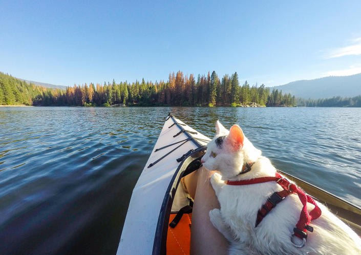 <p>Kayak adventures on Hulme Lake within the Sequoia National Forest and Fresno County, central California. (Photo: Our Vie / Caters News) </p>