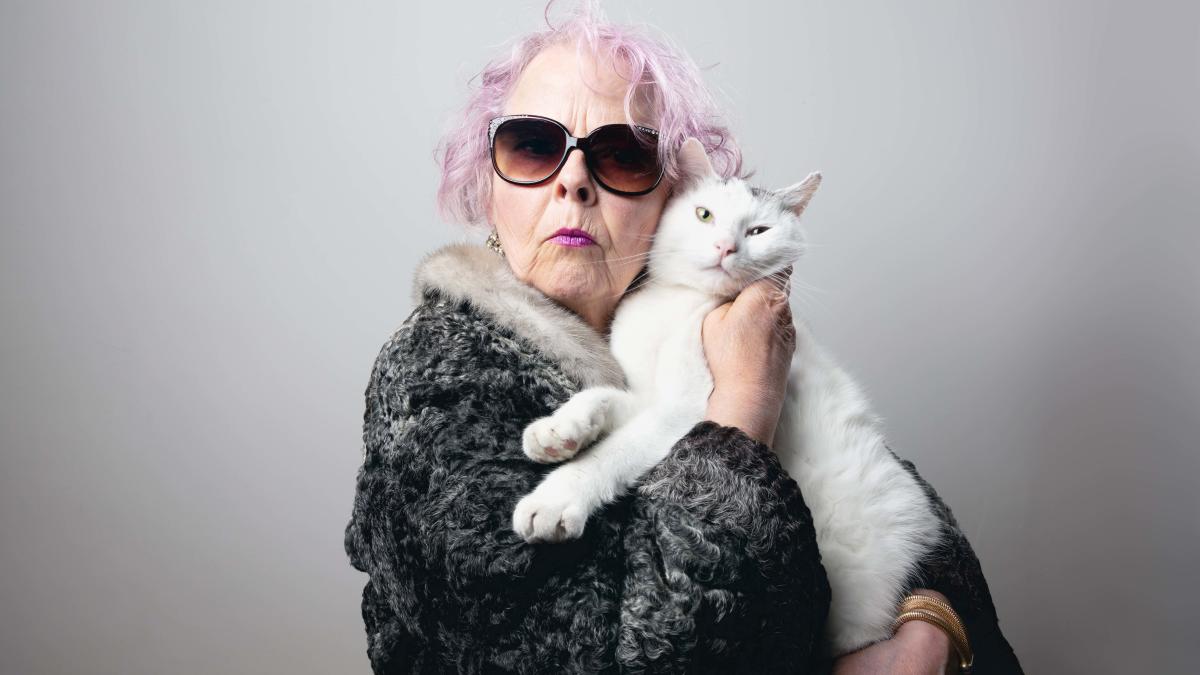 True story: The Modern Cat Lady crushing stereotypes – CatsEssentials