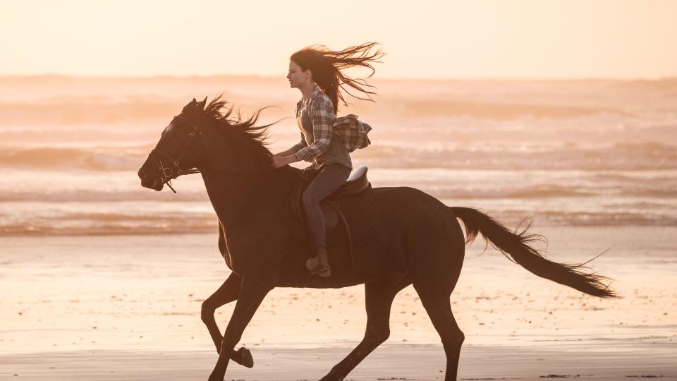 <p>There are shots of horses running through fields in soft, Instagrammable shades and a semi-spiritual, equine-human bond</p>Disney