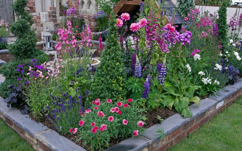 With the correct planting, you can enjoy colourful and healthy flower beds in your garden