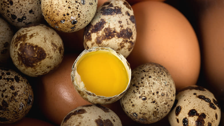 quail eggs and chicken eggs