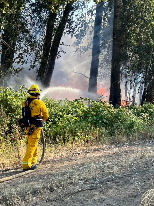 Dark smoke billows on Ross Island due to large fire in abandoned structure