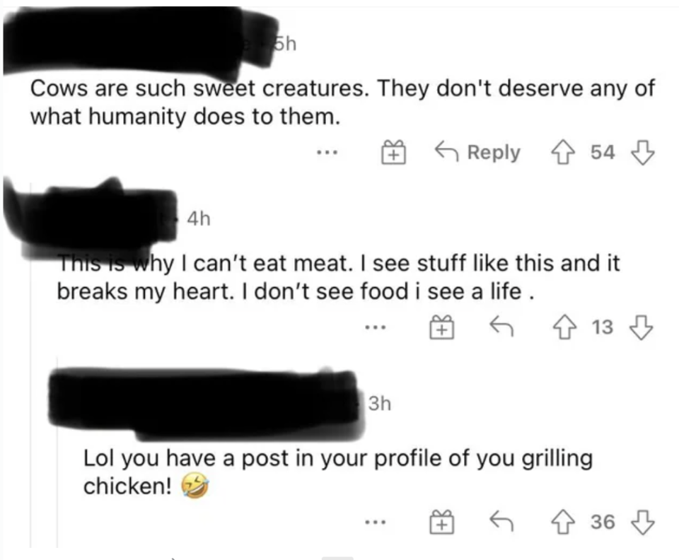 person 1 says they cant eat meat 'cause it breaks their heart and person 2 says, you have a post in your profile of you grilling chicken