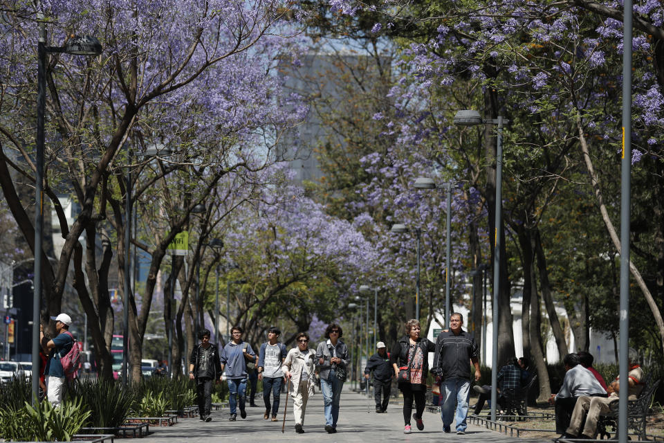 People stroll under blossoming jacaranda trees in the Alameda park in Mexico City, Monday, March 23, 2020. Beginning Monday, Mexico's capital shut down museums, bars, gyms, churches, and other non-essential businesses that gather large numbers of people, in an attempt to slow the spread of the new coronavirus. (AP Photo/Rebecca Blackwell)