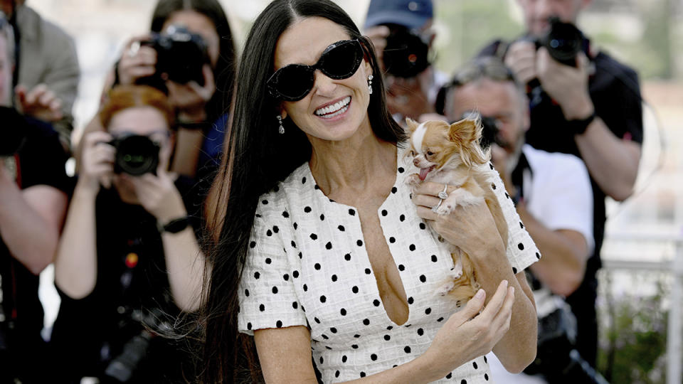 cannes demi moore dog