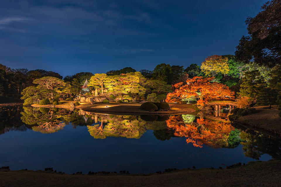 六義園（Image Source : Getty Creative）