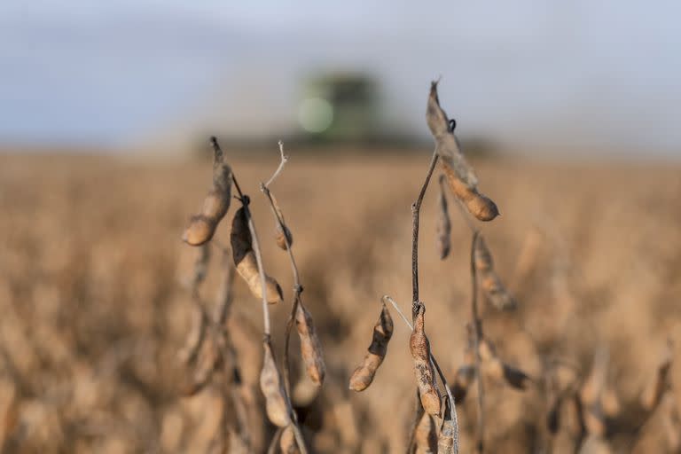 ARGENTINA, Las Acequias: Cosecha de soja en Las Acequias, Cordoba, el 3 de \May\ de 2019. LA NACION / Diego Lima