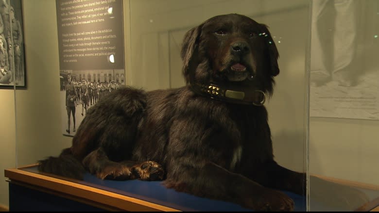 Why a philanthropist was motivated to help build a Beaumont-Hamel exhibit