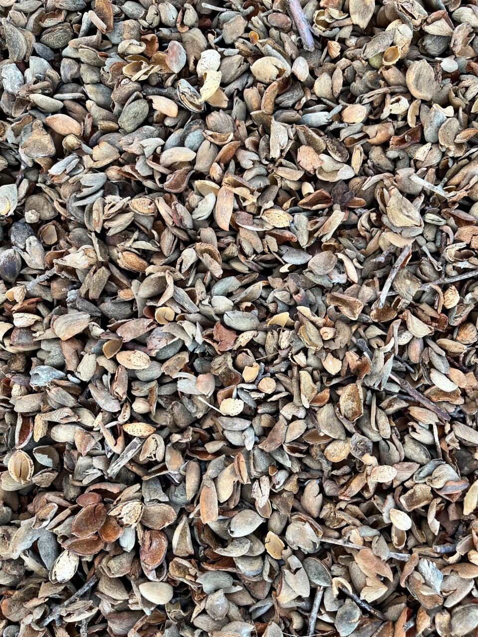 Almond hulls are pictured at Penny-Newman Grain Co. on Monday, Aug. 28, 2023 in Levelland.