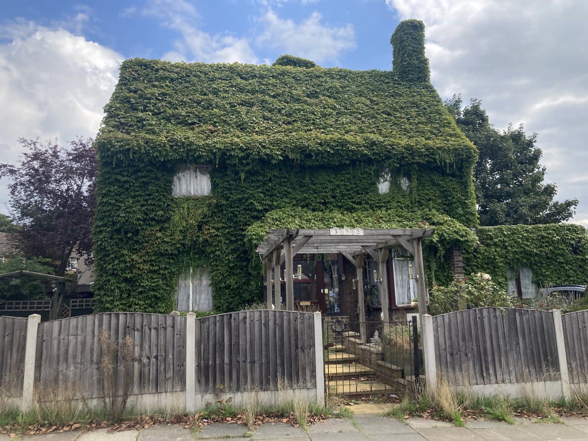 “We think it acts as natural insulation,” says Michael Lye, 75, about the Virginia creeper plant  (SWNS)