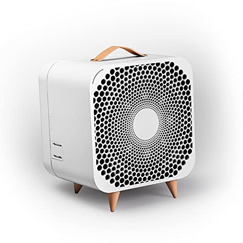 Blueair Pure Fan Auto (Amazon / Amazon)