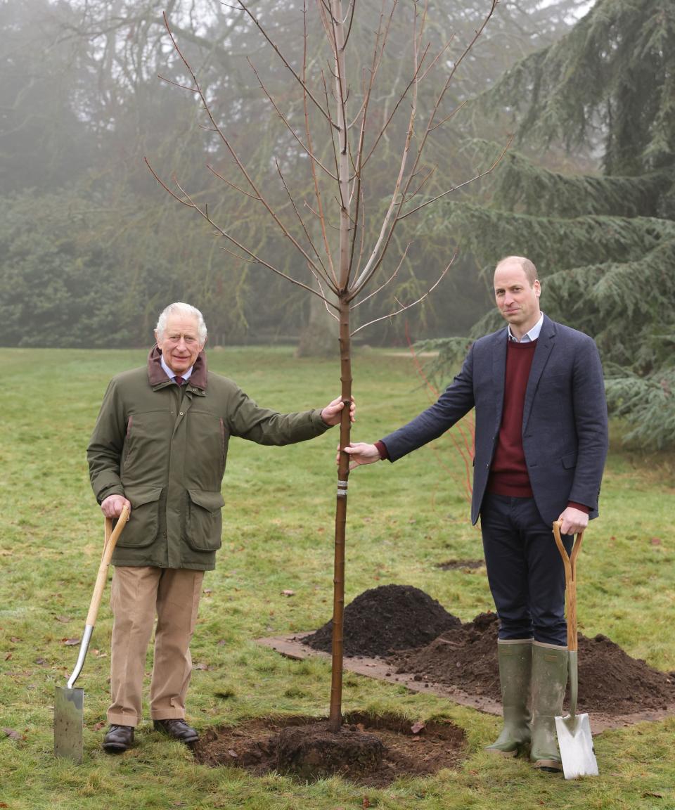 King Charles and Prince William