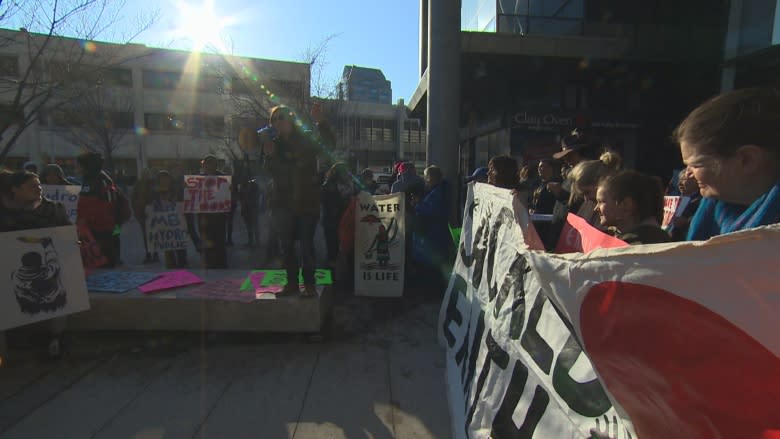 Manitoba 'Hydro justice' rally gains support on heels of board resignations