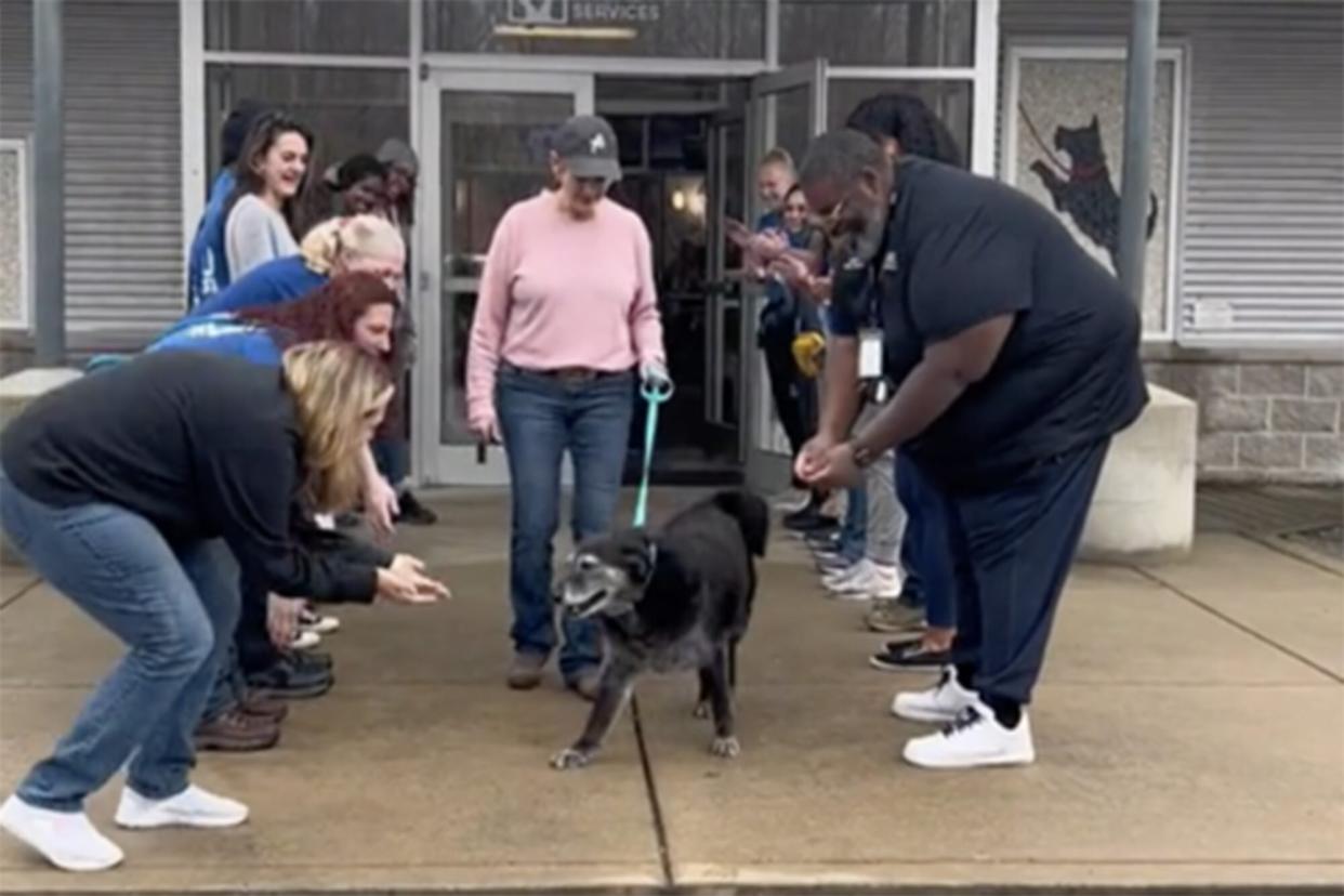 black dog on leash exits building as two lines of people cheer