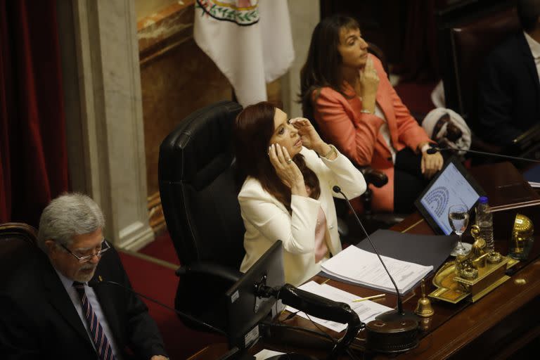 Cristina Kirchner, en el Senado, la semana pasada