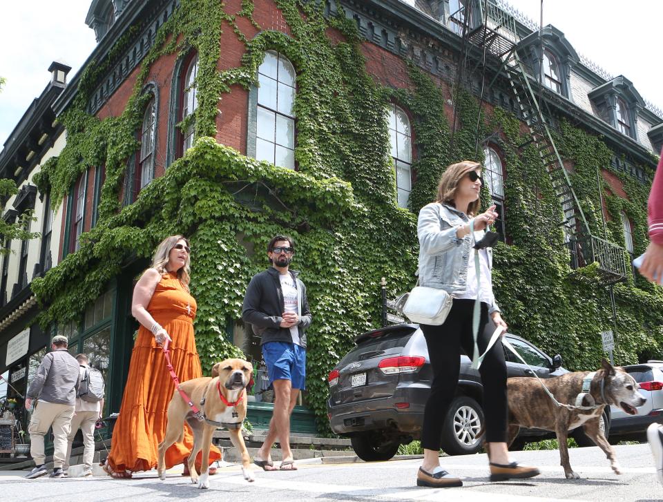 Many visitors to Cold Springs often bring their 4 legged friends along, with several businesses having water bowls outside their establishments.