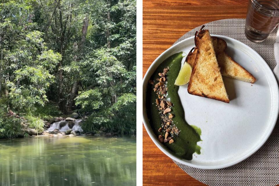 Two images, one showing tree waters near small waterfall and the other a plate of food with toast
