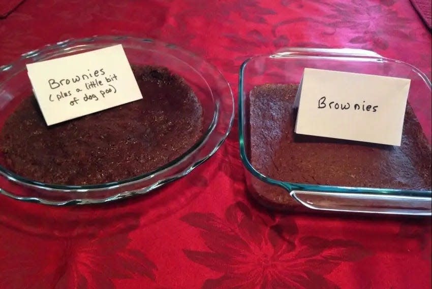 Monica Brown posted this picture on Facebook after baking two batches of brownies — one normal, and one with dog poop mixed in — to teach her then-20-year-old a lesson on purity after he went to see “Avengers: Age of Ultron,” a PG-13 superhero movie that she disapproved of.