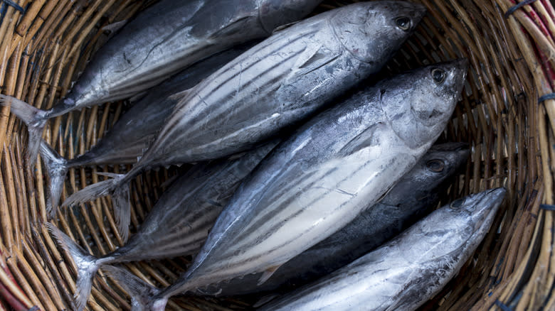 whole tuna fish in basket