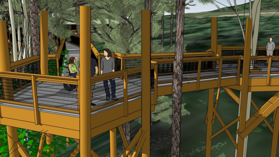 The planned project to build a canopy walk at Blacklick Woods Metro Park will have a 55-foot observation tower and deck, so the proposed 500-foot canopy walk will be accessible to all.