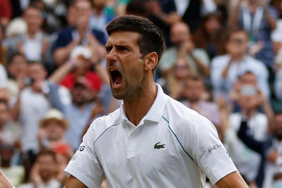 Novak Djokovic is one match away from a record-equalling 20th Grand Slam title (AFP via Getty Images)