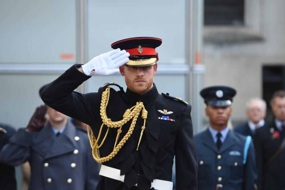 The Duke of Sussex (Jeremy Selwyn/Standard/PA) (PA Archive)