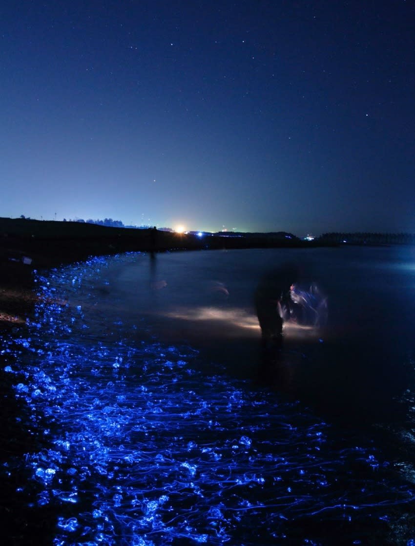 ‘Un mar de estrellas’. Emocionado por lo que veía, Ken Ohki no dudó en retratar el imponente espectáculo lumínico, logrando un trabajo asombroso que, rápidamente, se volvió viral cuando fue publicado esta semana por el propio artista en el sitio BoredPanda.