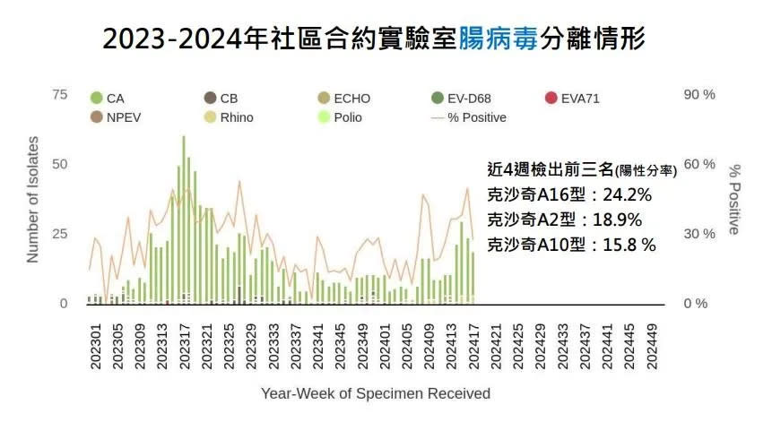 <strong>目前國內處腸病毒流行期。（圖／疾管署提供）</strong>