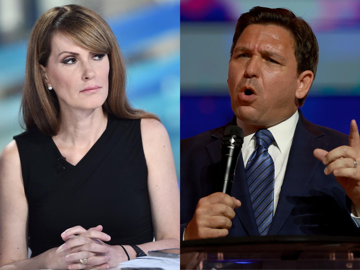 Fox Business host Dagen McDowell and Florida Gov. Ron DeSantis.