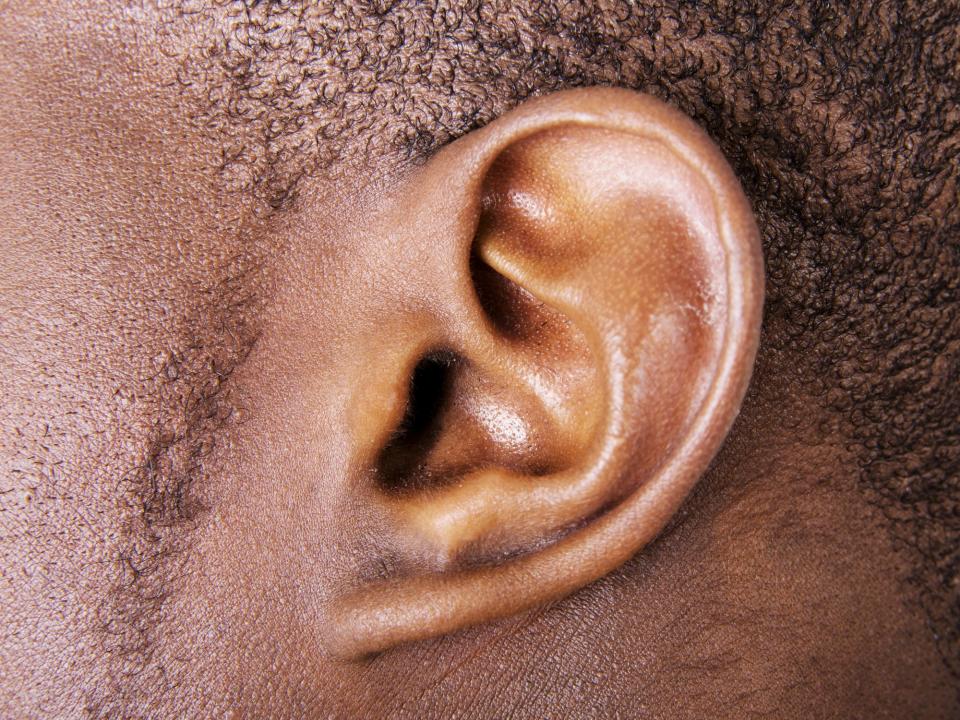 Human ear