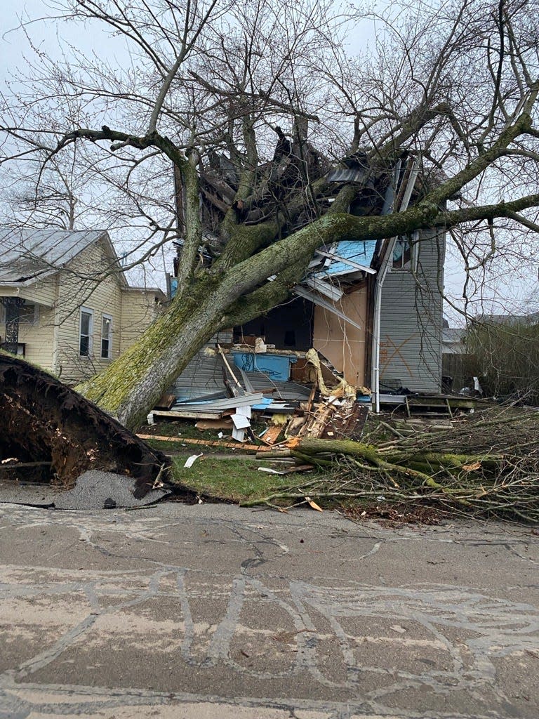 Sunrise on Friday, March 15, 2024, revealed the effects of Thursday night's reported tornados in Randolph and Delaware counties. Fallen trees and branches such as the one pictured here littered U.S. 27 in Randolph County.