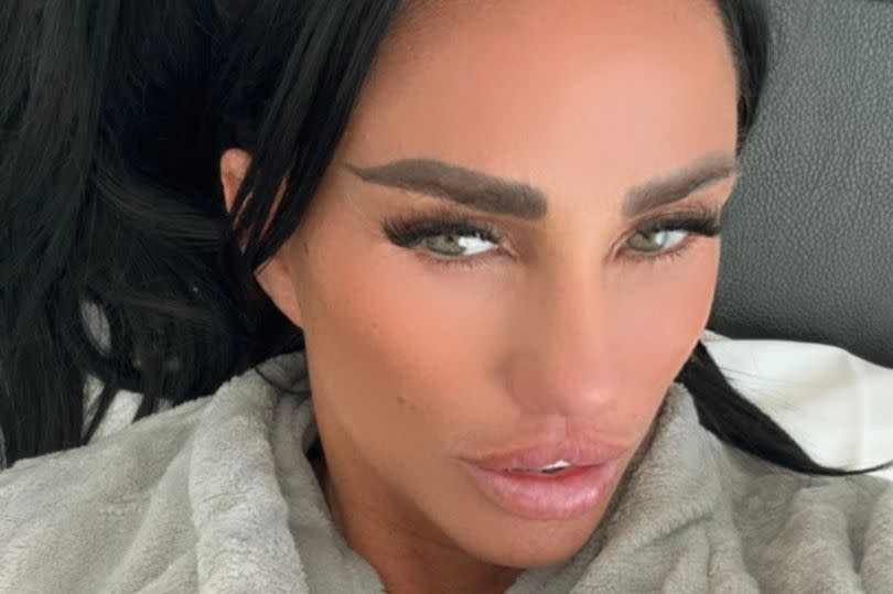 Photo of Katie Price modelling a grey robe.