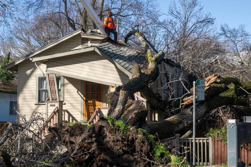 Members of a tree service crew attempt remove branches from a crushed home on 5th Street in Sacramento’s Southside Park neighborhood on Monday, Feb. 5, 2024, the day after a windstorm caused power outages and tree damage throughout the region.