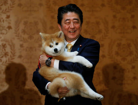 Japanese Prime Minister Shinzo Abe poses with an Akita Inu puppy presented to Russian figure skating gold medallist Alina Zagitova, in Moscow, Russia May 26, 2018. REUTERS/Maxim Shemetov