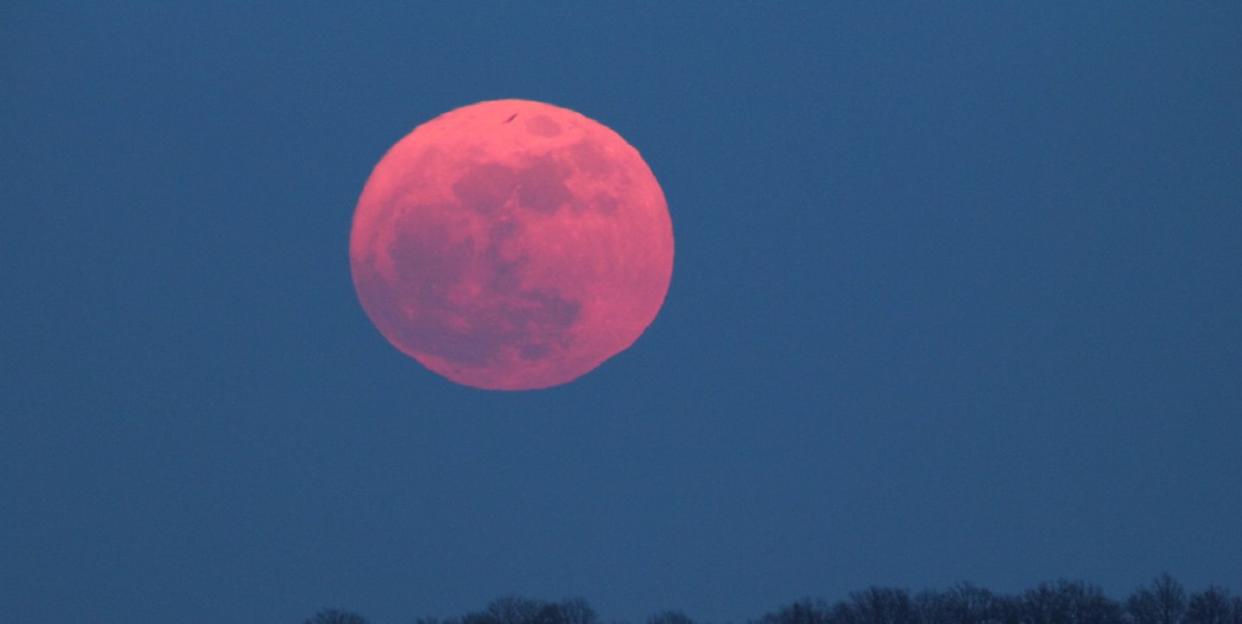 Look to the Skies Here's How to See the Pink Moon Tonight