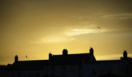 Birds fly over terraced houses as the sun sets over Aldeburgh, Britain October 16, 2016. Picture taken October 16, 2016. REUTERS/Dylan Martinez