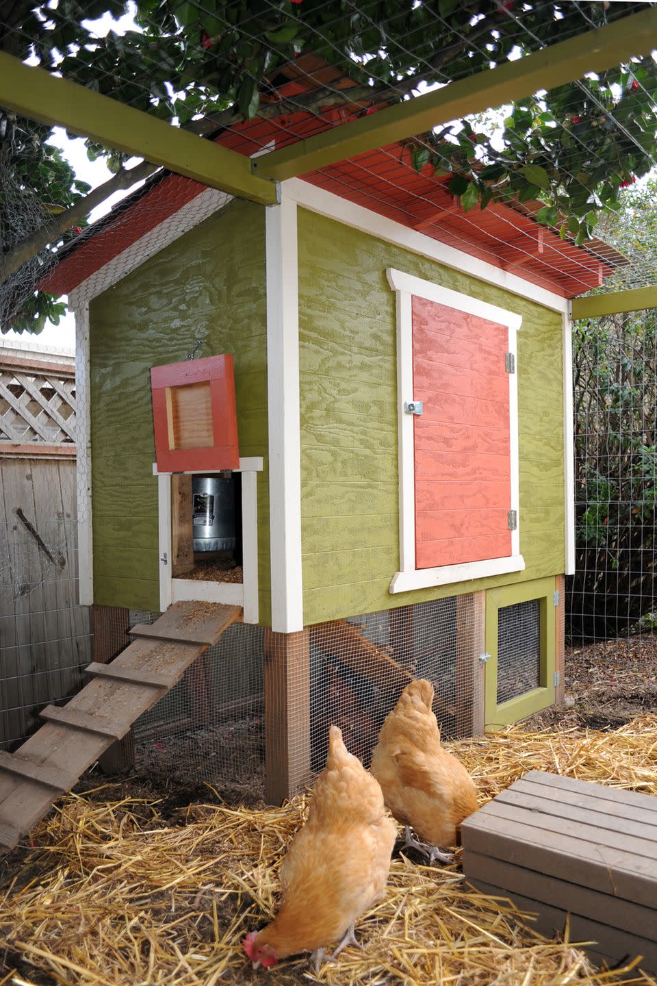 Colorful Raised Box Chicken Coop