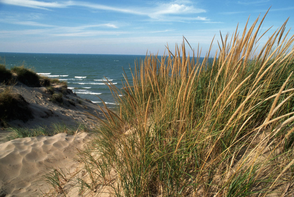 The dunes along Lake Michigan. (Photo: Layne Kennedy/Getty Images)