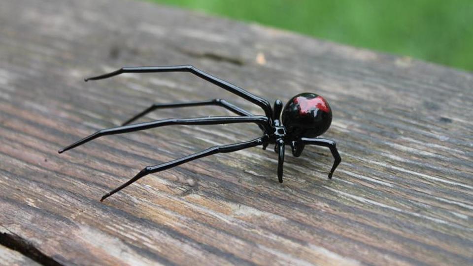 A handblown black widow spider figure from Ukrainian Etsy shop Glass Symphony.