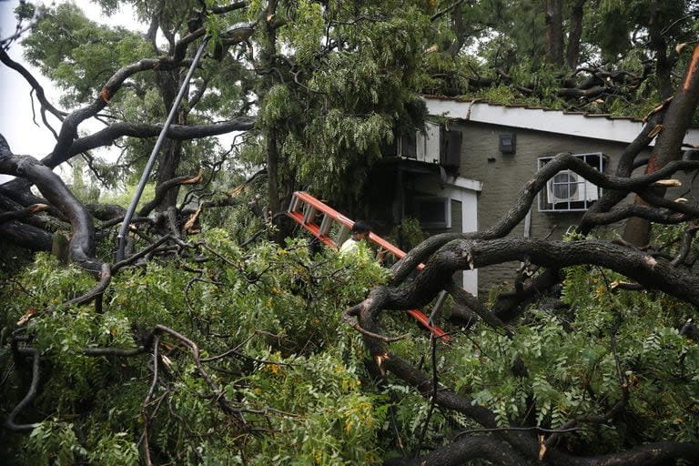 El centro de monitoreo de semáforos, sobre Av. Dorrego, destruido por los árboles caídos