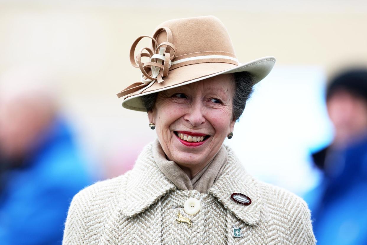 Princess Anne Wants to Appear on Strictly Come Dancing Show Dancer Reveals