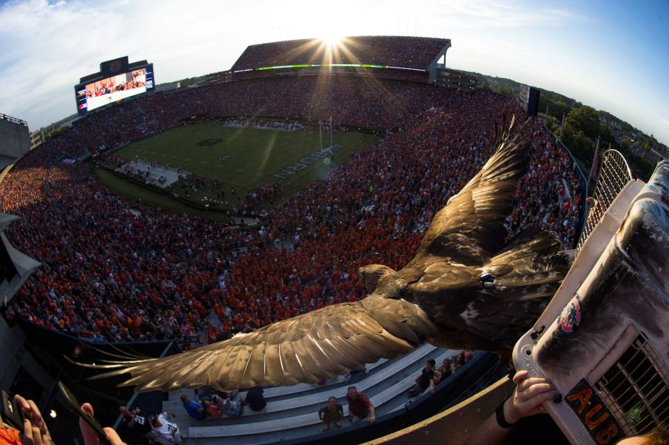 Nova, Auburn University's mascot, enters Jordan-Hare Stadium before a game against Arkansas State in 2016.