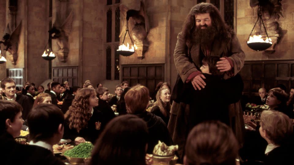 Robbie Coltrane in  "Harry Potter and the Chamber of Secrets." - Warner Bros./Alamy Stock Photo