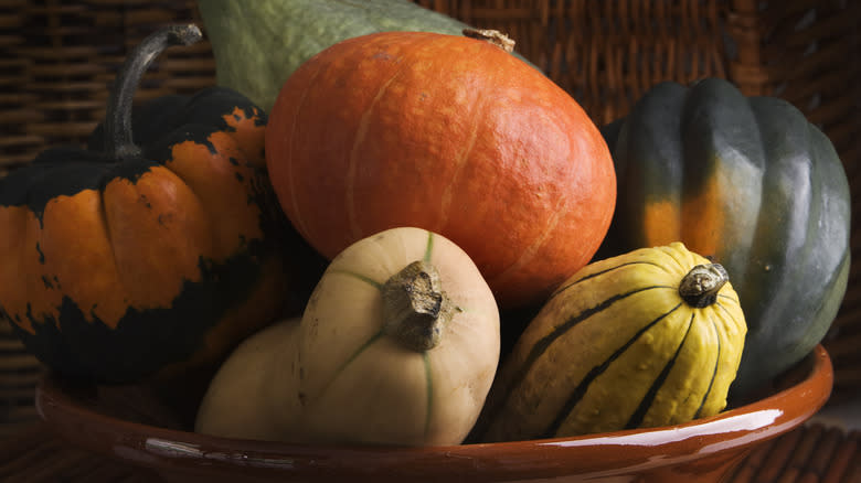 Six winter squashes in bowl